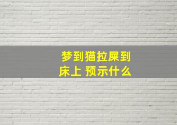 梦到猫拉屎到床上 预示什么